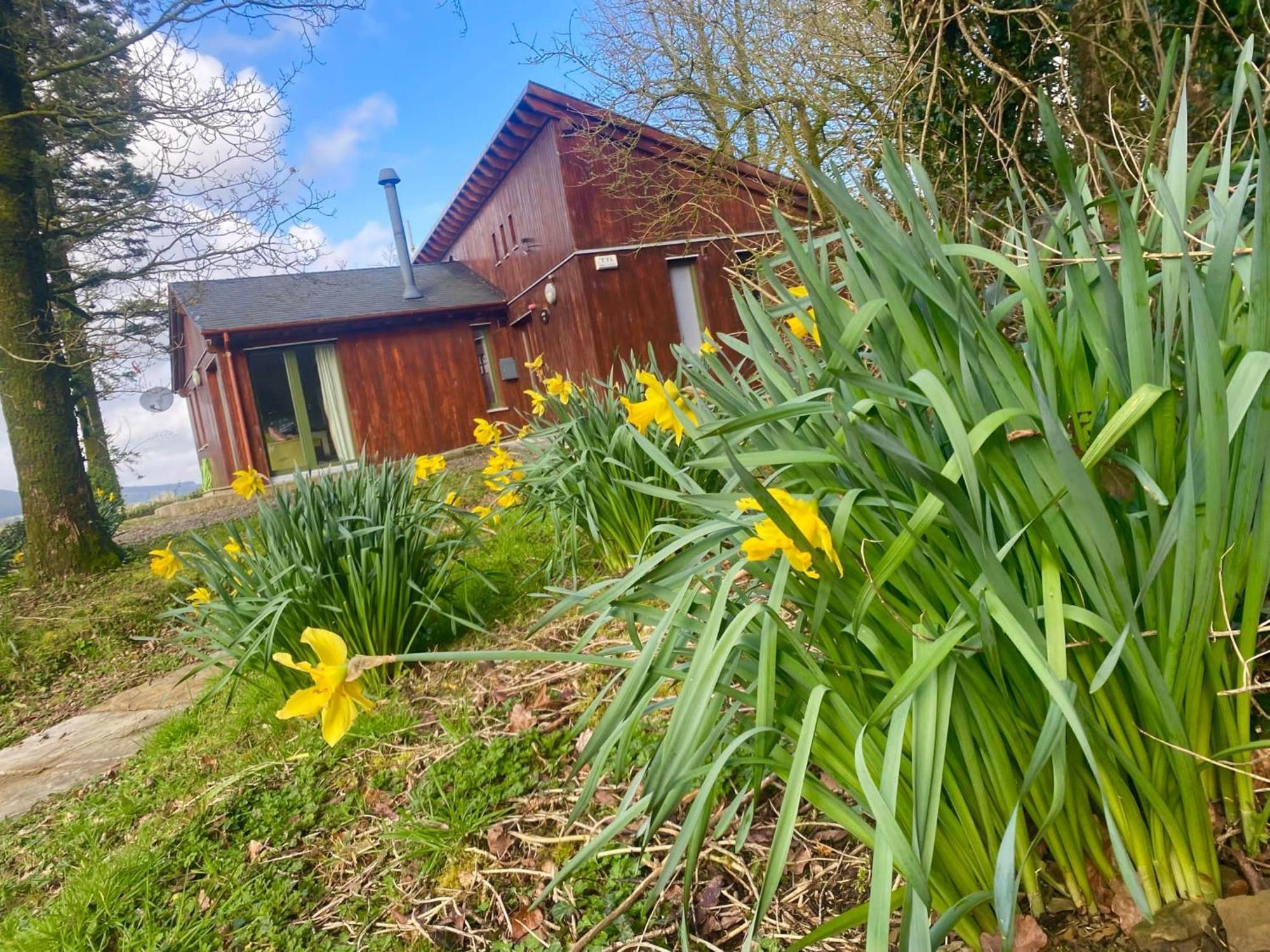 Ballyhoura Mountain Lodges Ballyorgan Exteriér fotografie