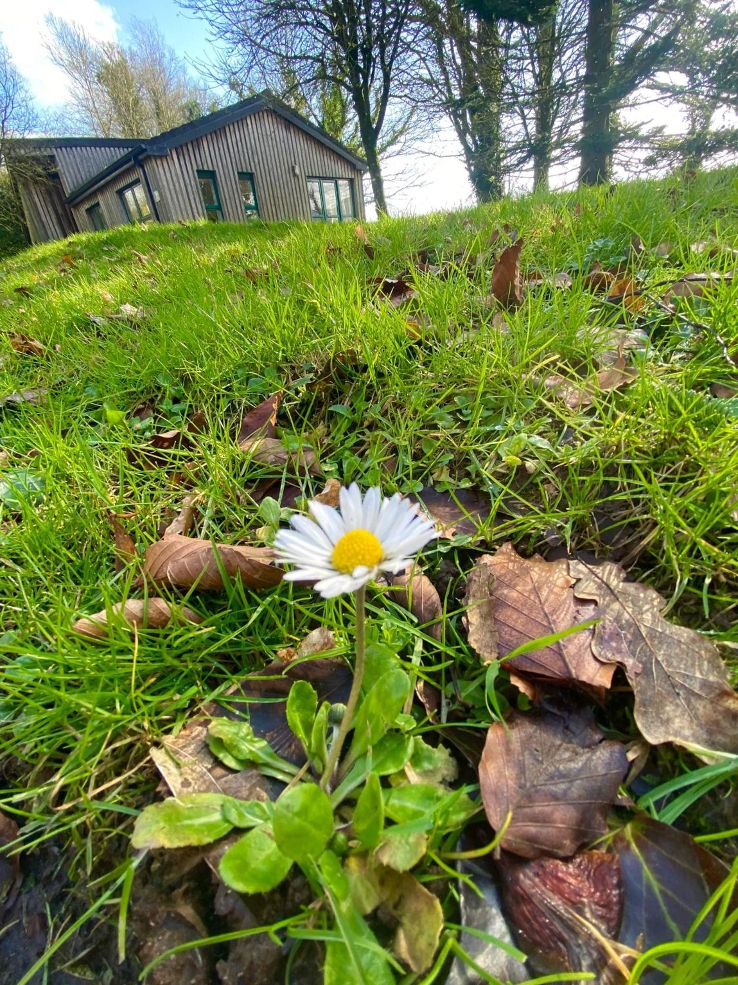 Ballyhoura Mountain Lodges Ballyorgan Exteriér fotografie